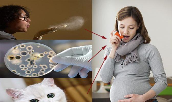 Беременность при бронхиальной астме Можно ли беременеть с астмой